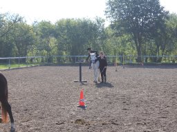img_0231_web